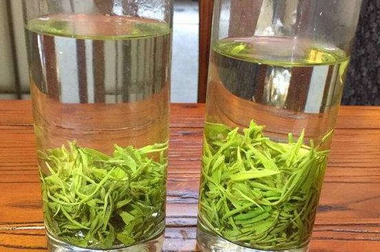 黃金茶的功效及禁忌癥，黃金茶有什么副作用嗎？