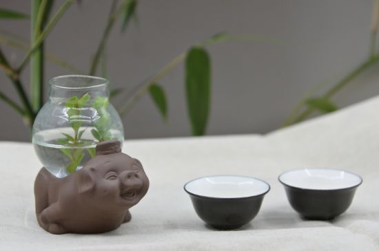 正確泡茶13個流程，新手從零開始學泡茶的步驟