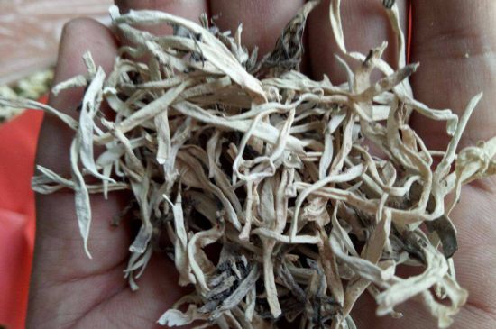 麗江雪茶的禁忌，白雪茶的副作用