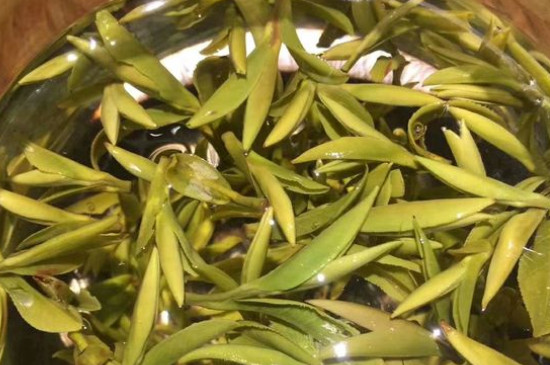八大茶系都有哪幾種，八大茶系都是什么名字