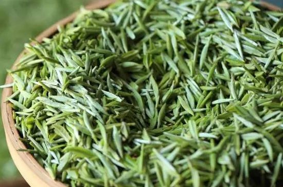雀舌茶的沖泡方法，怎么沖泡雀舌茶？