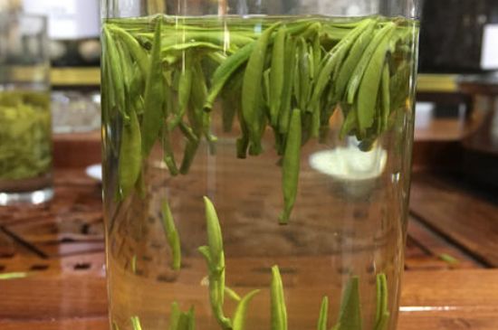 雀舌茶的副作用，雀舌茶什么人不能喝？