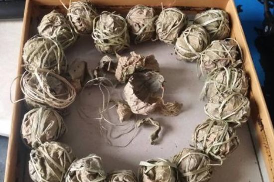 鷓鴣茶用拆開泡嗎，鷓鴣茶要解開繩子泡嗎