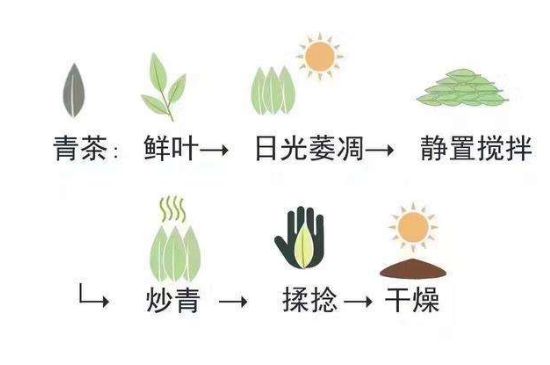 茶葉名稱大全和圖片，茶葉名字大全三四個字！