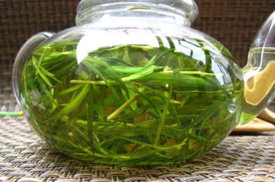竹葉茶的禁忌，竹葉泡茶的功效禁忌