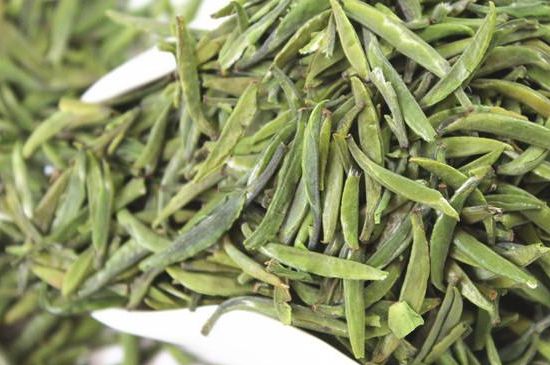 雀舌茶什么人不能喝，雀舌茶的功效與禁忌