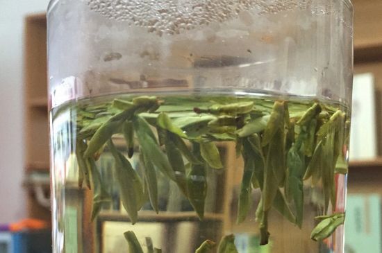 煮茶器能煮龍井嗎，龍井茶能不能用煮茶器圖