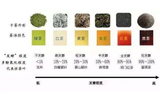茶葉名稱大全和圖片，茶葉名字大全三四個字！