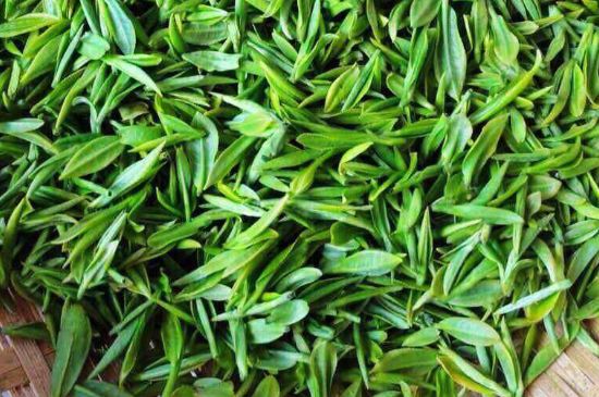 云霧綠茶的功效及禁忌，哪些人不適合喝云霧茶