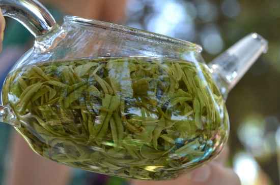 新手學(xué)泡茶的基本常識，從零開始學(xué)泡茶