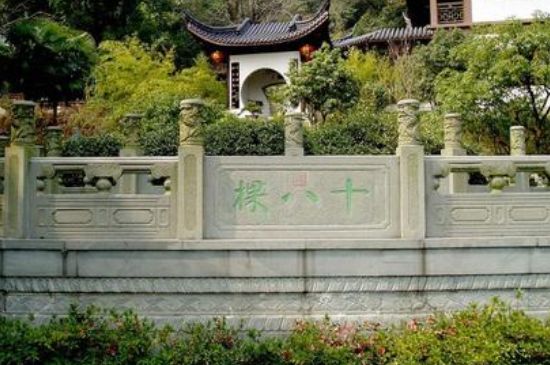 世界最貴的茶葉排行榜，十大最貴的茶