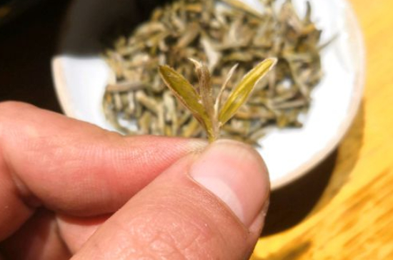 六大茶類哪種適合長(zhǎng)期存放，日常如何保存方法一覽？