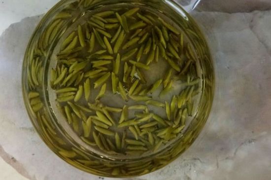茶葉在哪里買比較好，哪里能買到好的茶葉