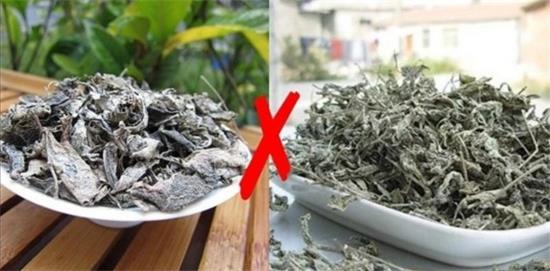 張家界茅巖莓茶與藤茶是同一種茶嗎，藤茶跟莓茶一不一樣？