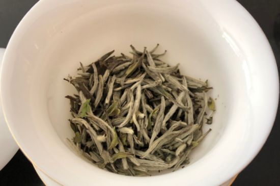 春茶上市白茶的好壞怎么區(qū)分，春白茶怎么分辨好不好？