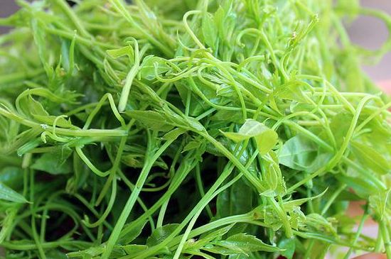 茅巖莓茶別名是什么，莓茶別名叫藤茶嗎？