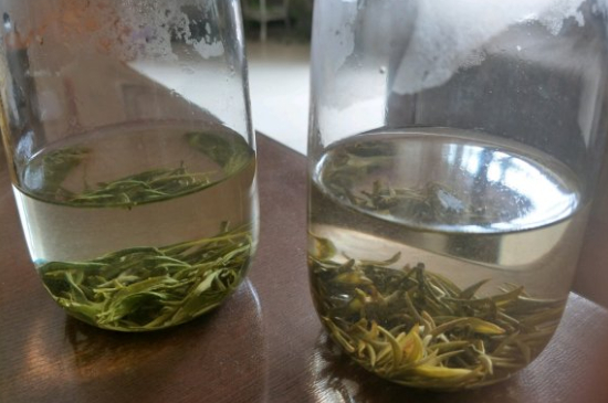 真假碧螺春泡水后區(qū)別，蘇州洞庭碧螺春怎樣鑒別好壞？