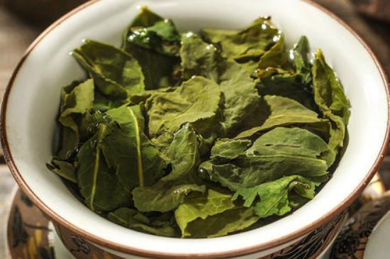 陳茶還是新茶好，茶葉是新茶好喝還是陳茶好喝