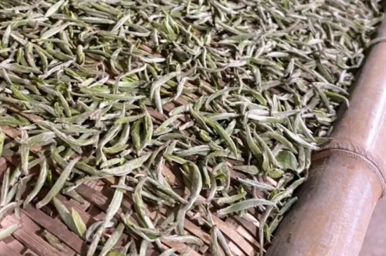 過期茶葉的八大妙用，過期的陳茶葉還能干什么用？