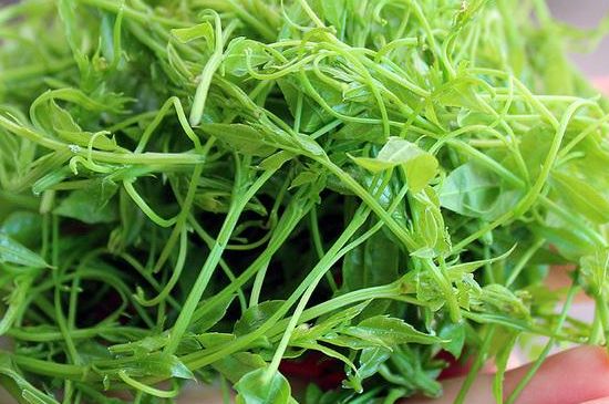 茅巖莓茶保質(zhì)期有多久，張家界莓茶存放時(shí)間長(zhǎng)了還能喝嗎？