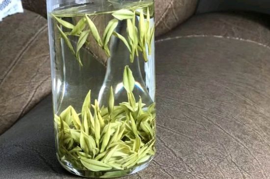 安吉白茶夏天怎么保存，安吉白茶能冷凍儲存嗎？