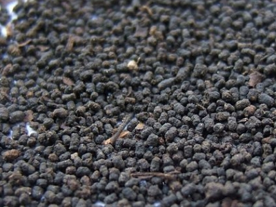 圓形顆粒狀茶是什么茶，像飼料一樣一粒粒的是什么茶？