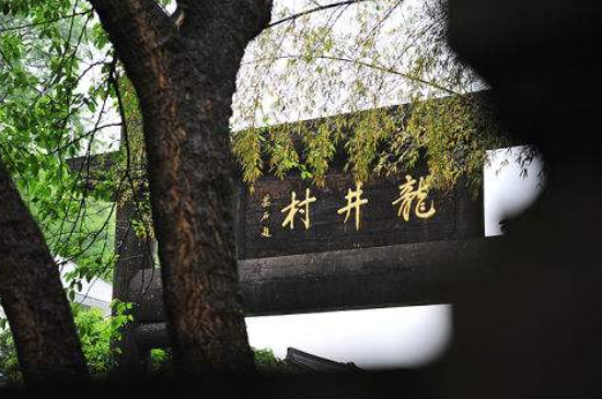杭州買龍井茶攻略，怎么買到正宗的西湖龍井？