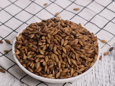 圓形顆粒狀茶是什么茶，像飼料一樣一粒粒的是什么茶？