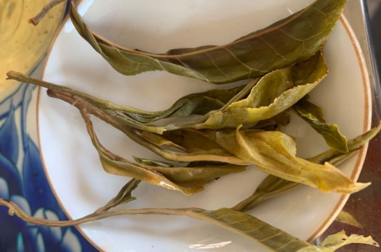 普洱茶十大學(xué)費(fèi)茶排名，吉普H是學(xué)費(fèi)茶？