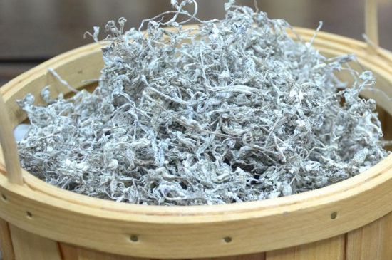 張家界莓茶真假對比，野生莓茶的鑒別方法