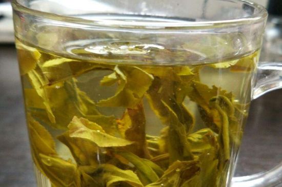 茉莉龍珠可以和什么一起泡茶，茉莉龍珠茶能加蜂蜜嗎？