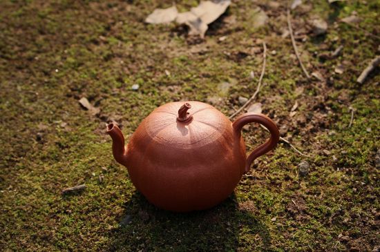 紫砂壺泡什么茶最佳，紫砂壺一般泡什么茶？