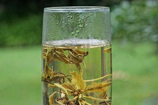 茉莉龍珠什么人不能喝，茉莉龍珠茶什么體質(zhì)不能喝？