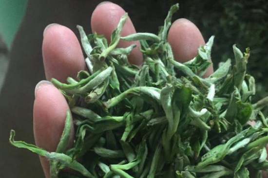 茉莉茶如何制作曬干，自制茉莉茶的做法
