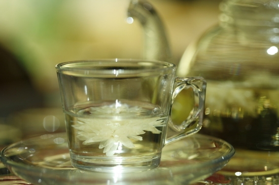 菊花茶天天喝行嗎，每天喝菊花泡茶喝好嗎？