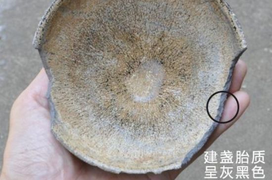 假建盞的特點(diǎn)，真假建盞區(qū)分帶圖