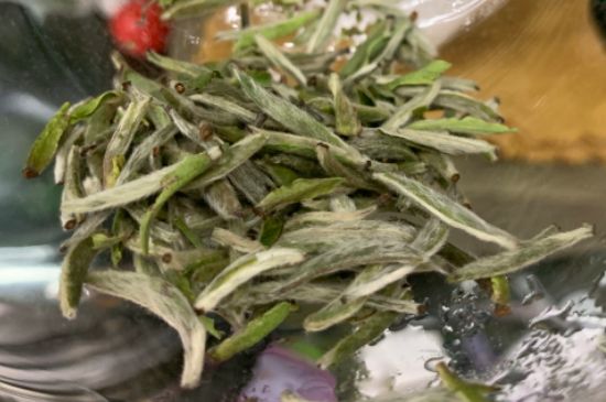 蒸汽煮茶器適合什么茶，蒸汽煮茶器適合用綠茶嗎？