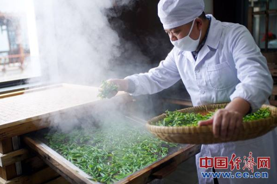 炒青綠茶與綠茶的區(qū)別，烘青和炒青哪個(gè)好喝？