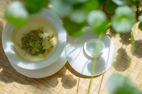 茉莉花茶6種人不要喝，什么體質(zhì)不適合喝茉莉花茶？