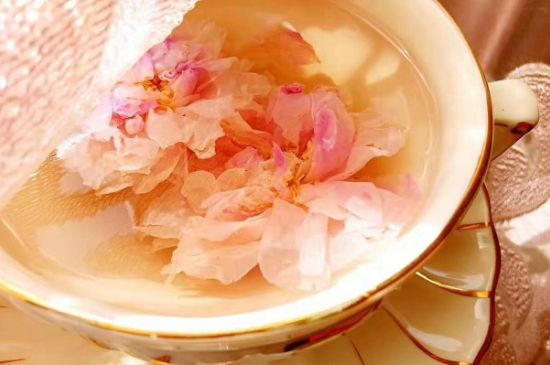 玫瑰花茶一周喝幾次，玫瑰花茶可以天天喝嗎？