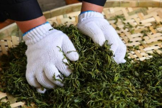 綠茶加工工藝流程圖，綠茶的加工制作包含哪幾個(gè)步驟？
