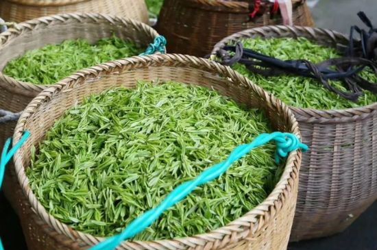 茶葉怎么炒制才香，怎樣炒茶葉更香？