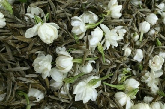 茉莉銀針口感，茉莉銀針是什么味道？