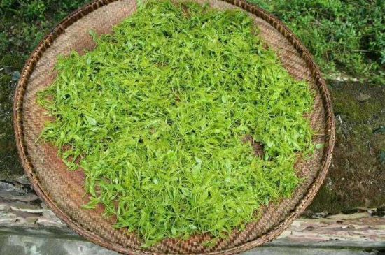 茅巖莓茶加工工藝，莓茶的工藝制作過程
