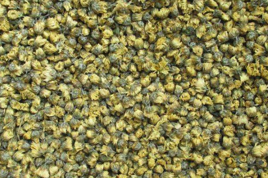 菊花茶大朵小朵有什么區(qū)別，菊花喝大朵還是小朵？