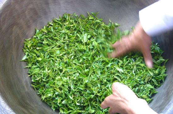 綠茶加工工藝流程圖，綠茶的加工制作包含哪幾個(gè)步驟？