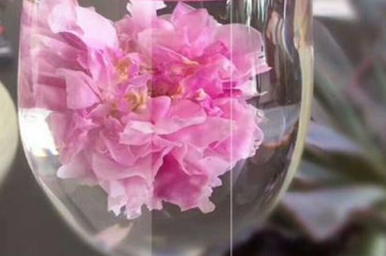 干玫瑰花泡水放幾顆，玫瑰花泡水一次放幾朵？