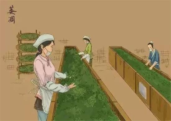 制茶八步驟，制茶工藝流程圖