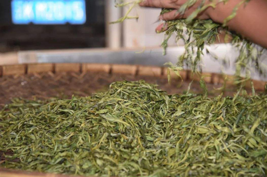 炒青綠茶與綠茶的區(qū)別，烘青和炒青哪個(gè)好喝？