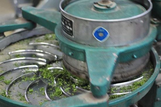 武夷巖茶的初制、精制加工工藝詳細講解
